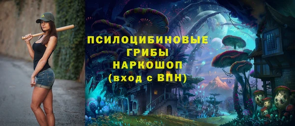 мескалин Надым