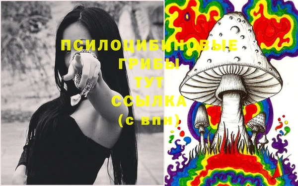 амф Михайловка