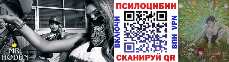 дарнет шоп  Поворино  Галлюциногенные грибы Psilocybe 